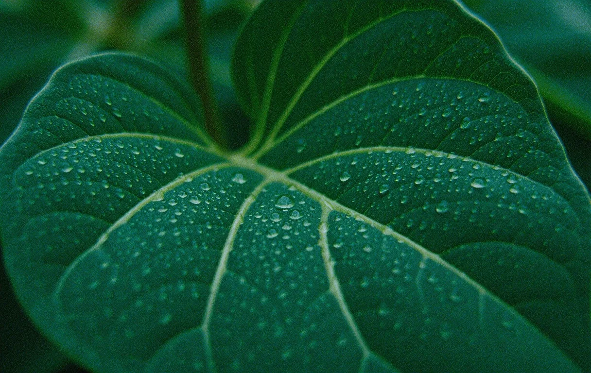 Botanical precision background